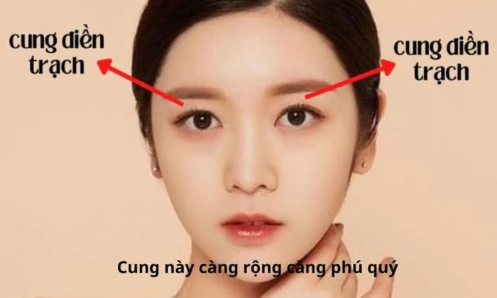 Vị trí cung Điền Trạch trên gương mặt, thể hiện qua khu vực giữa chân mày và mắt trong tử vi