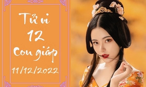 Xem bói tử vi 12 con giáp 14 12