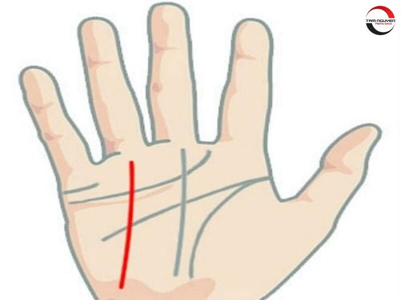 Xem đường chỉ tay báo hiệu tử vi xuất ngoại rõ nét