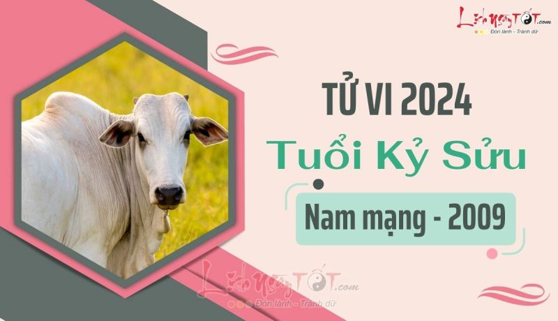 Xem tử vi tuổi Kỷ Sửu 2009 nam mạng năm 2024 chi tiết