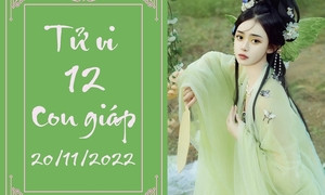 Xem vận trình tử vi ngày 21/11 của 12 con giáp chi tiết