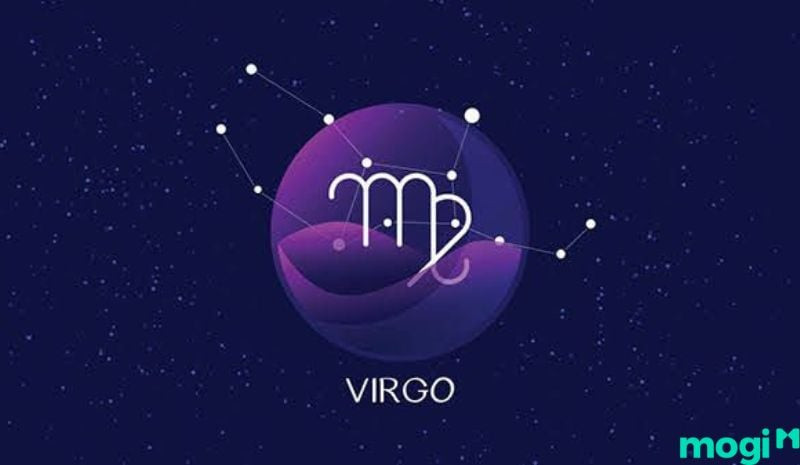 Xử Nữ chăm chú đọc sách, thể hiện chỉ số IQ cao và khả năng nghiên cứu sâu sắc trong học tập.