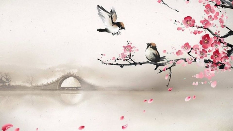 Ý nghĩa cung Thiên Di trong tử vi, tổng quan về cung Thiên Di