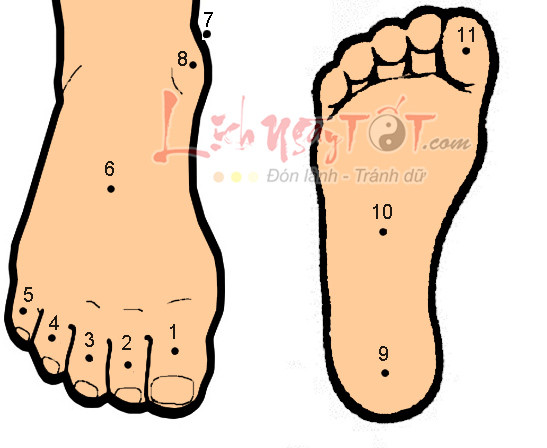 Ý nghĩa nốt ruồi trên bàn chân, phong thủy tài lộc