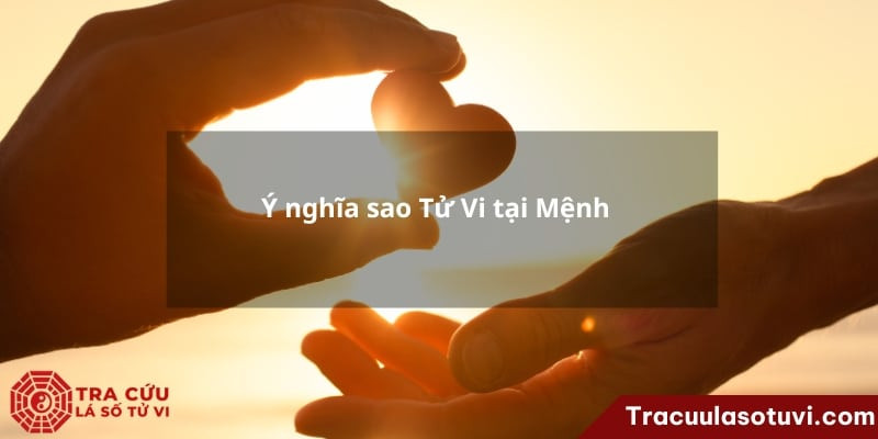 Ý nghĩa phúc đức tử vi qua sao Tử Vi cung Điền Trạch